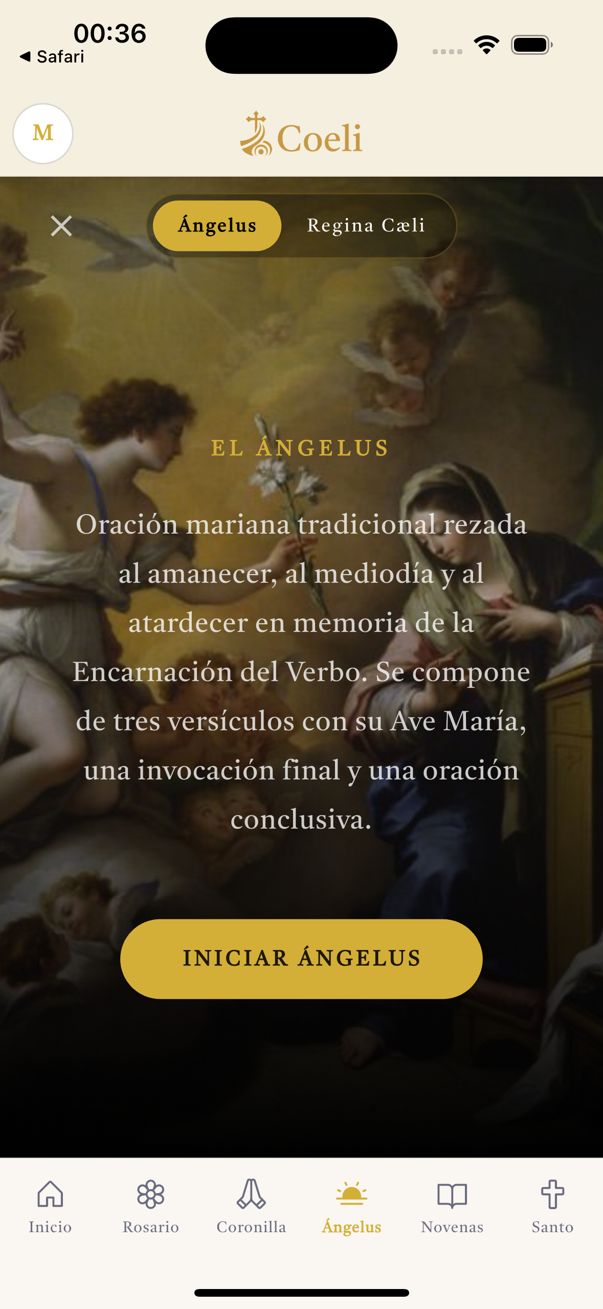 Tela do Angelus na Coeli.