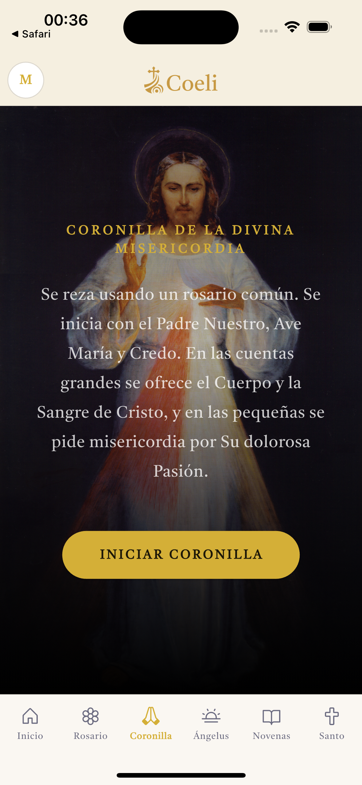 Coroa da Divina Misericórdia na Coeli.