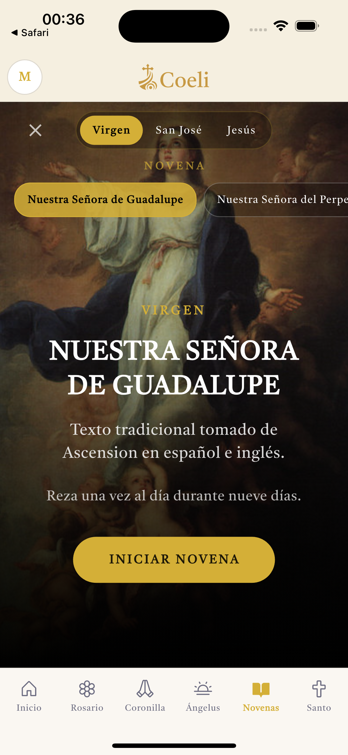 Novena a Nossa Senhora de Guadalupe na Coeli.