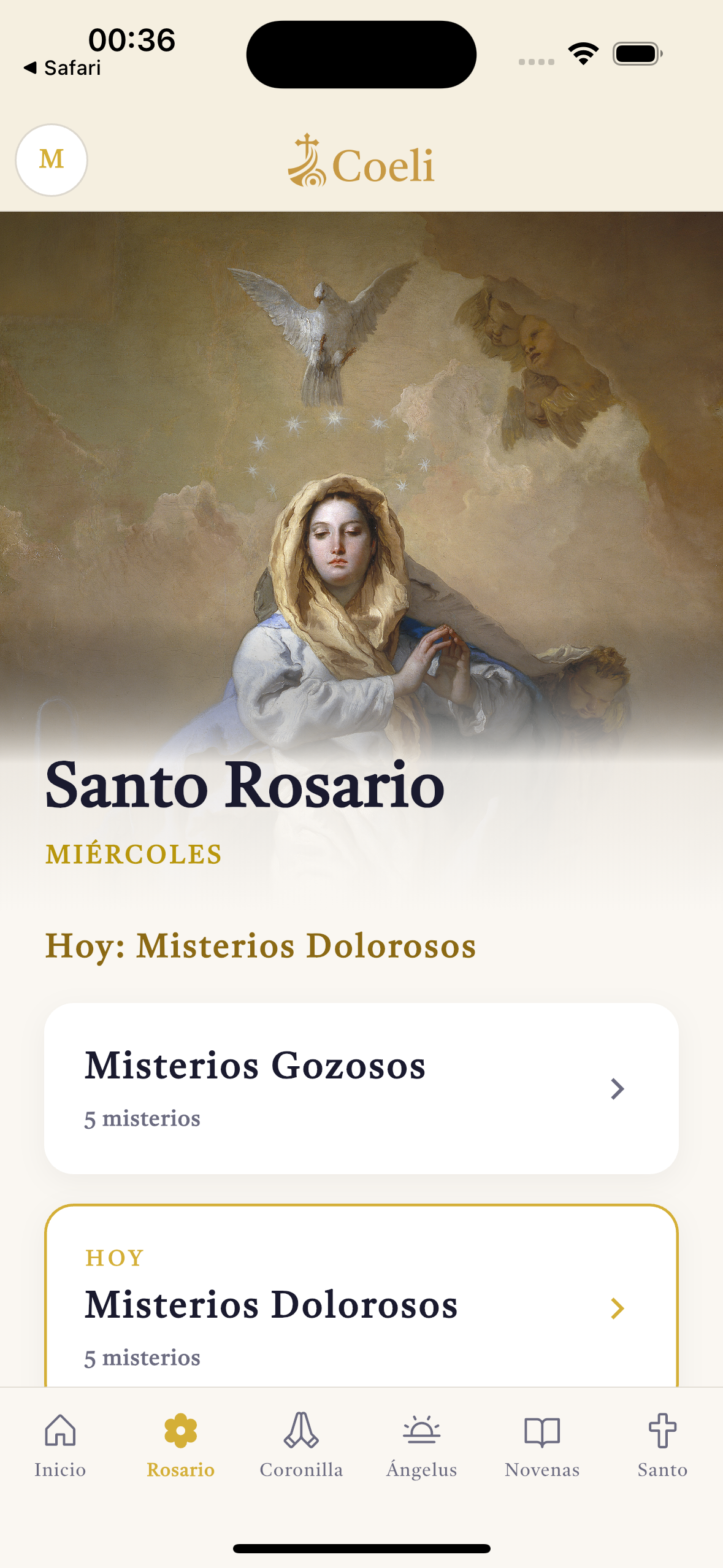 Tela do Santo Rosário na Coeli.